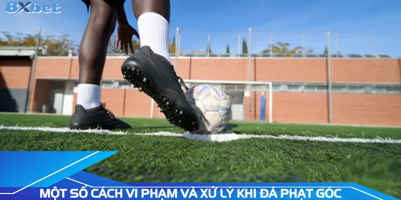 mot-so-cach-vi-pham-va-xu-ly-khi-da-phat-goc